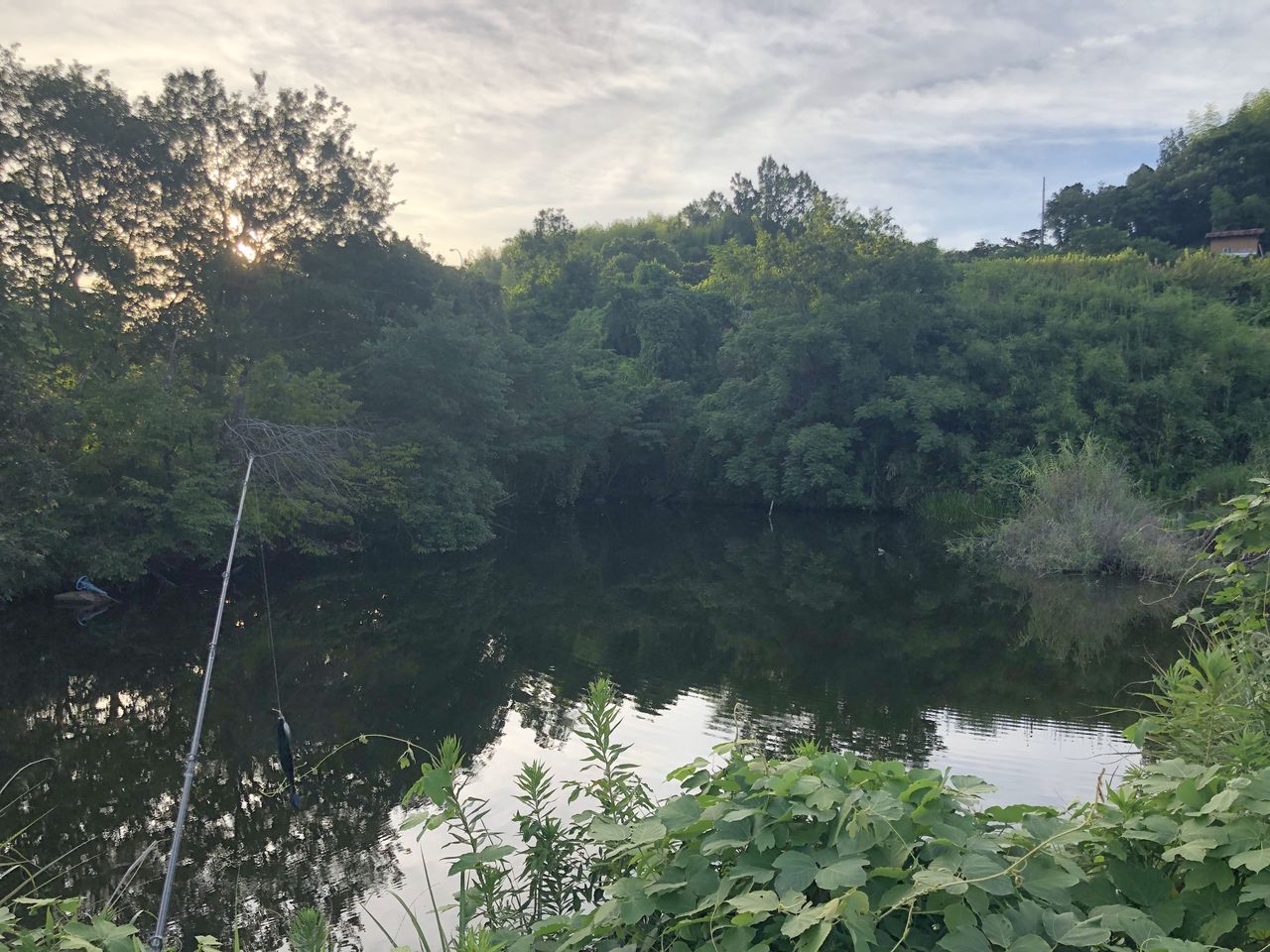 19 08 16大阪和泉市野池釣行 東播野池から大阪野池 和歌山方面のバス釣りブログ