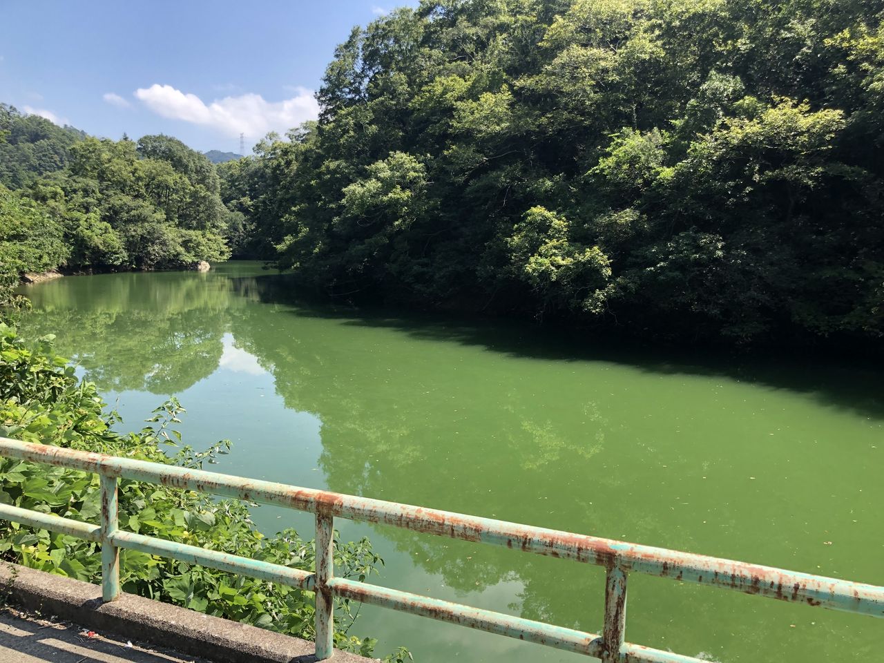 19 08 14和歌山県山田ダム釣行 東播野池から大阪野池 和歌山方面のバス釣りブログ