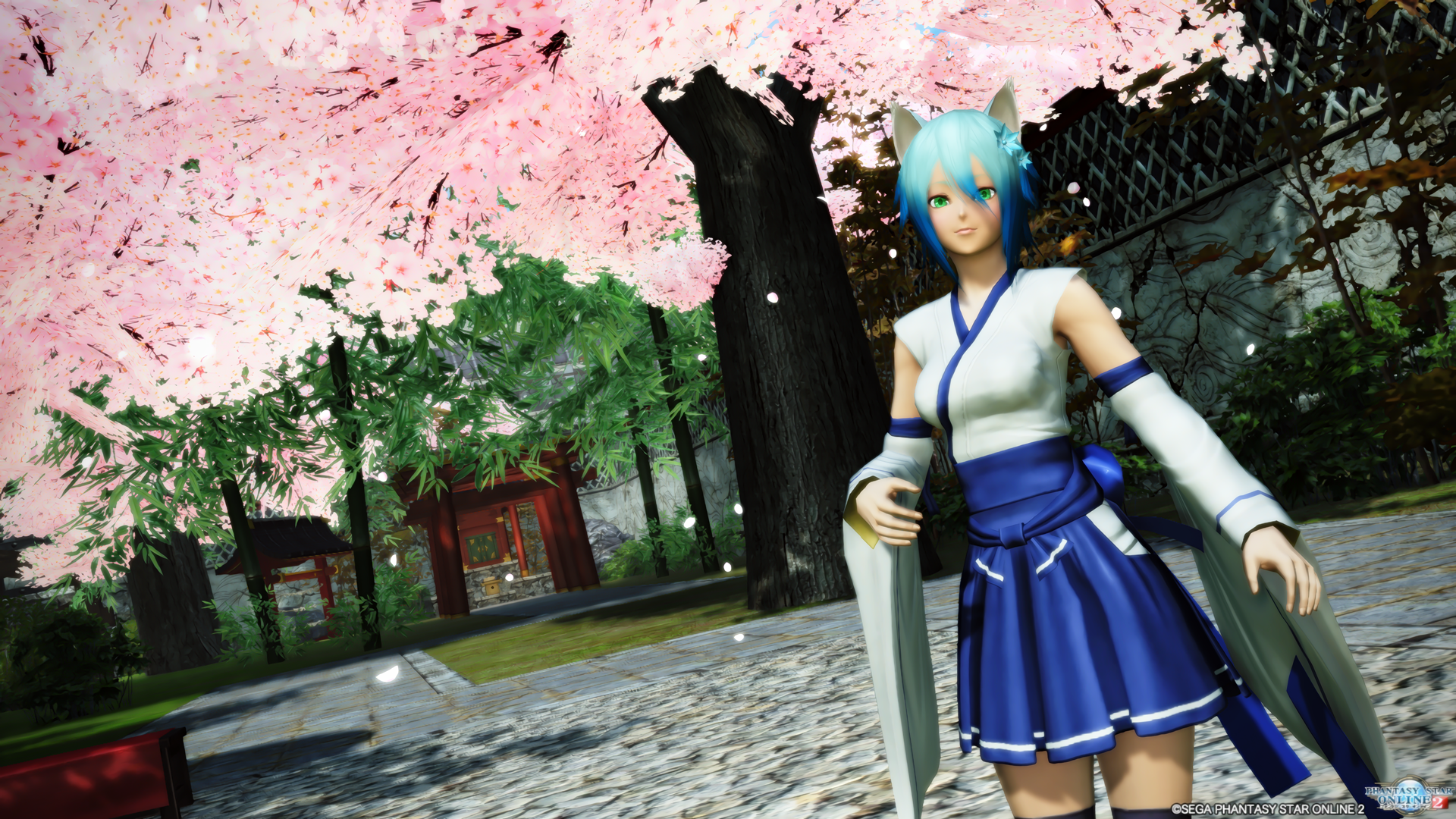 かっかのぷそlife