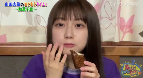 スクリーンショット (1687)