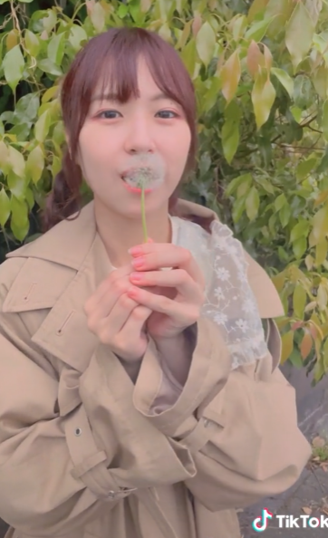 スクリーンショット (2179)