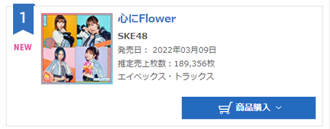 SKE48-売上