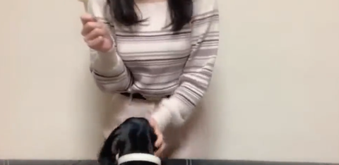 スクリーンショット (2030)