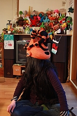 Insect helmet - 17-1