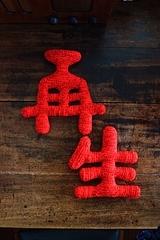 saisei-japan - 28