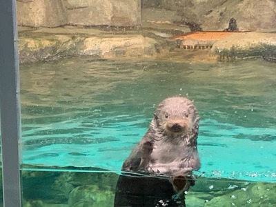 19海の中道