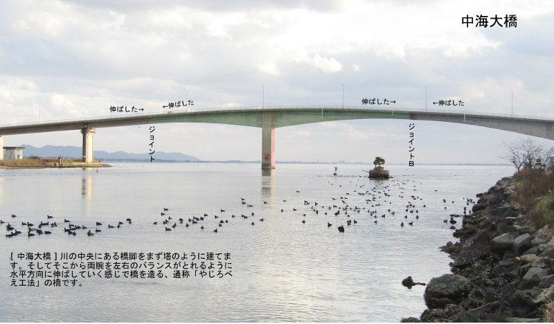ダイバーズウオッチカスタムのblog[ 元旦に河口で写真 ]コメント