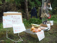 DSC03481