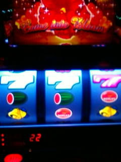 Ex3681 キングハナハナリーチ目