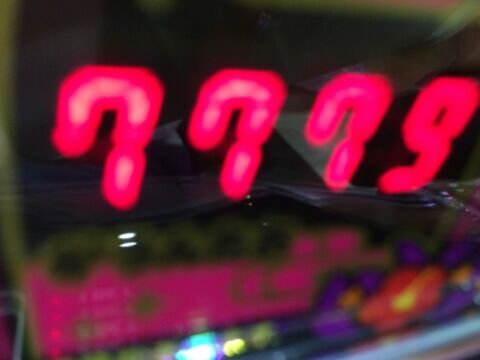 写真 2(11)