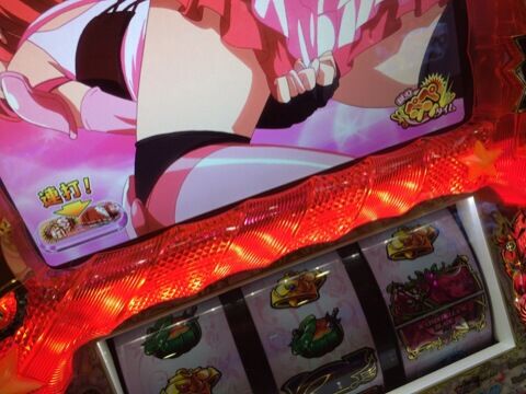 写真 2(2)