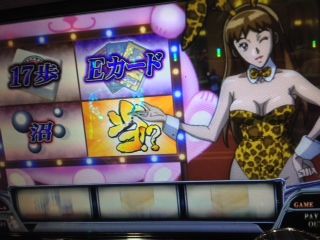 写真 3 (8)