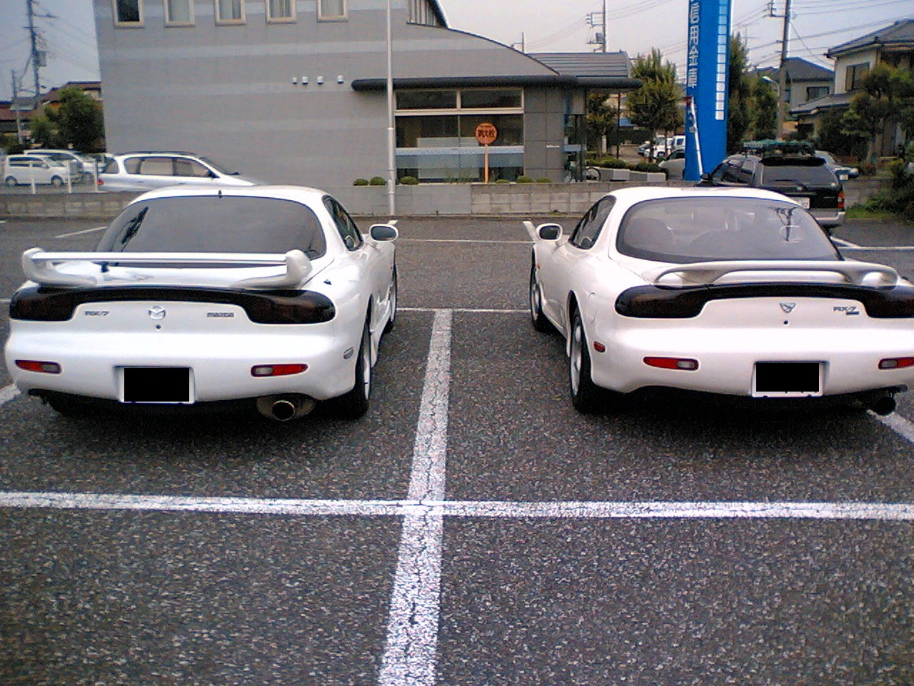 白だの白だの Fdと共に苦難を乗り越えていくblog