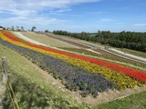 IMG_0230