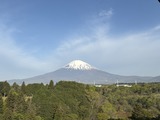 IMG_3746
