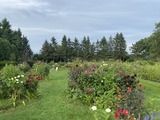 IMG_0266