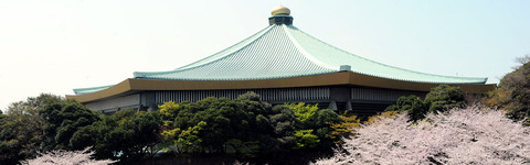 budokan_img_01