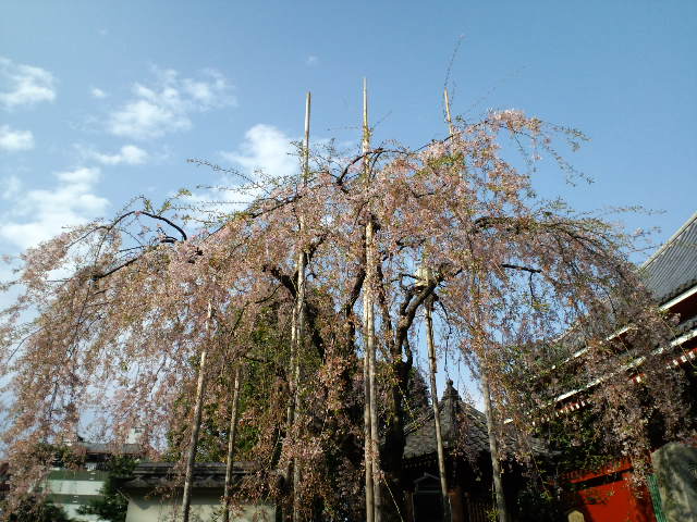 CA3C0005