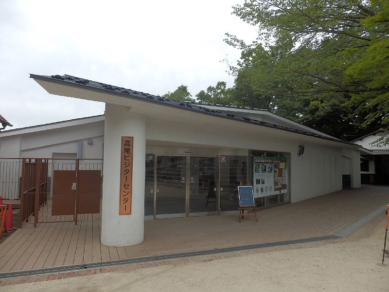 6月初夏の高尾山健康登山 4 18 自然探訪と人生満喫 傘寿時代 6月初夏の高尾山健康登山 4 18 自然探訪と人生満喫 傘寿時代