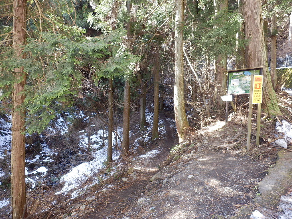 2月 高尾山健康登山 8 5 6 7 自然探訪と人生満喫 傘寿時代