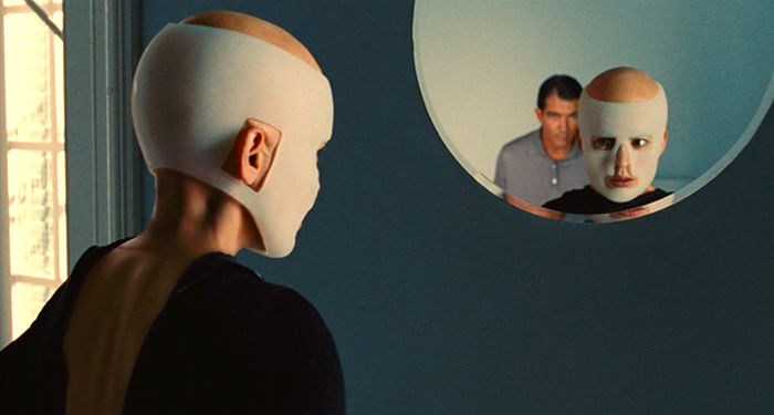 私が 生きる肌 11年 完全 解説 4 5 劇場には絶対観に行かない