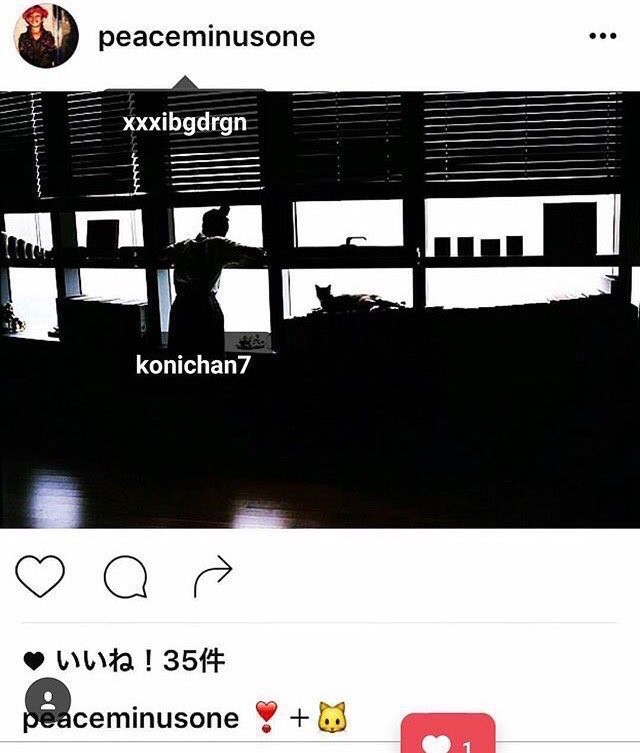 小松菜奈と菅田将暉の熱愛説が韓国でも大々的に報じられている たこちゃんおすすめ 韓国ドラマ 俳優 小松菜奈と菅田将暉の熱愛説が韓国でも大々的に報じられている たこちゃんおすすめ 韓国ドラマ 俳優