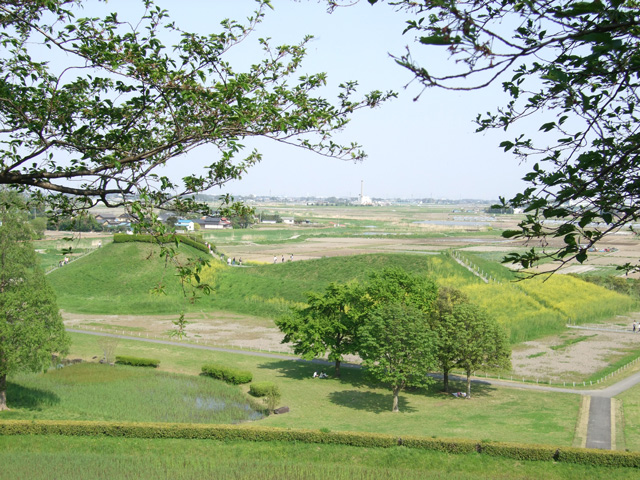 稲荷山古墳出土鉄剣