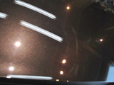 SSC_9231