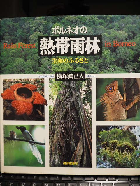 P6050936