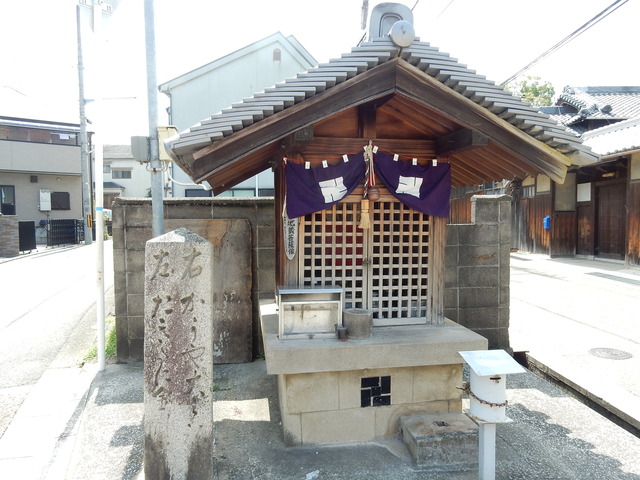 DSCN8808