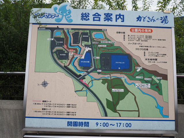 P9287389