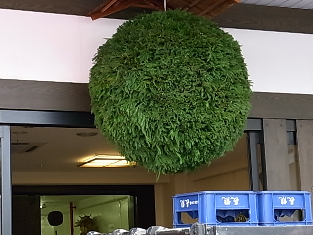 023b8155.jpg