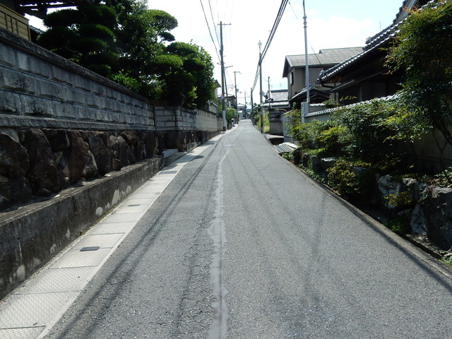 DSCN8811