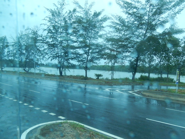 DSCN6339