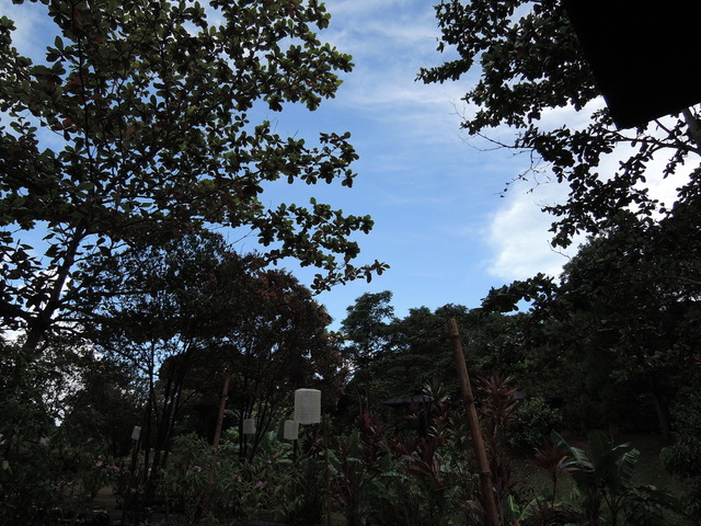 DSCN0279