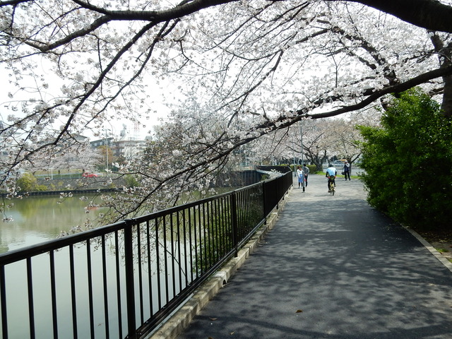 DSCN7882