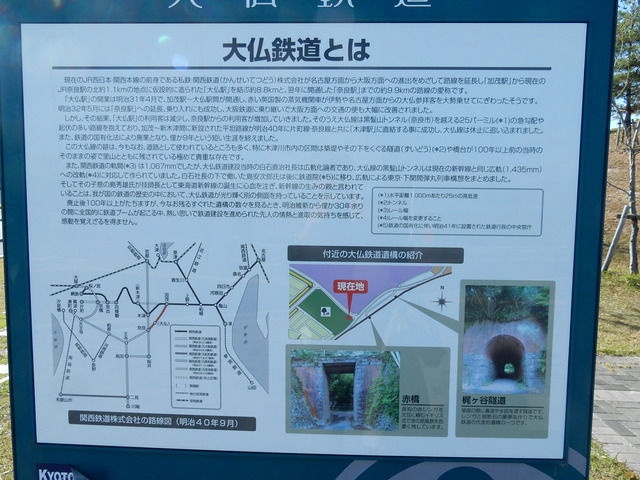 DSCN8412