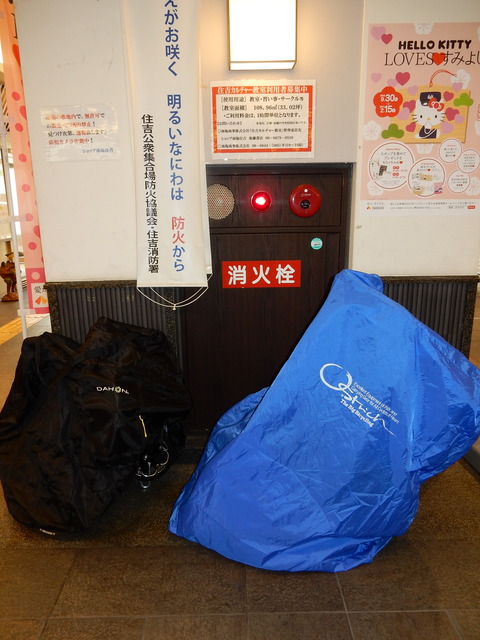 DSCN9964