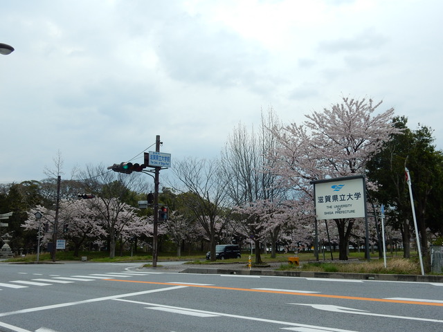 DSCN0862