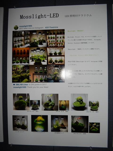 DSCN7236