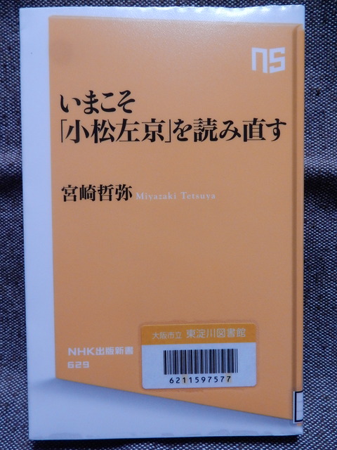 DSCN6993