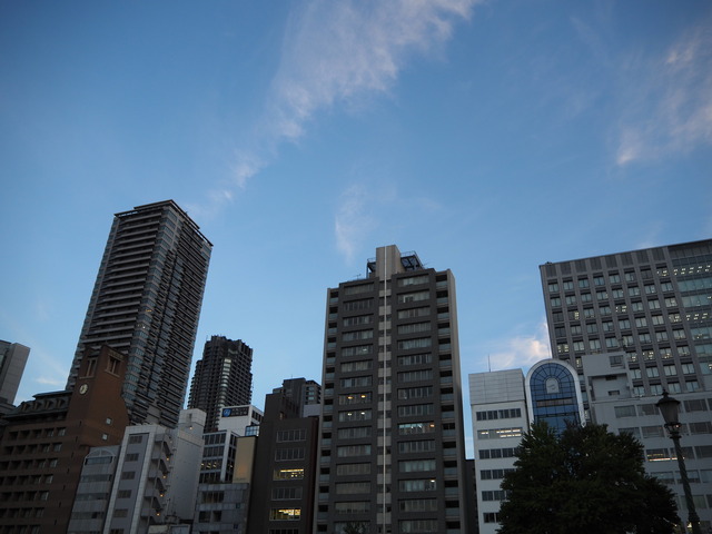 P7236622