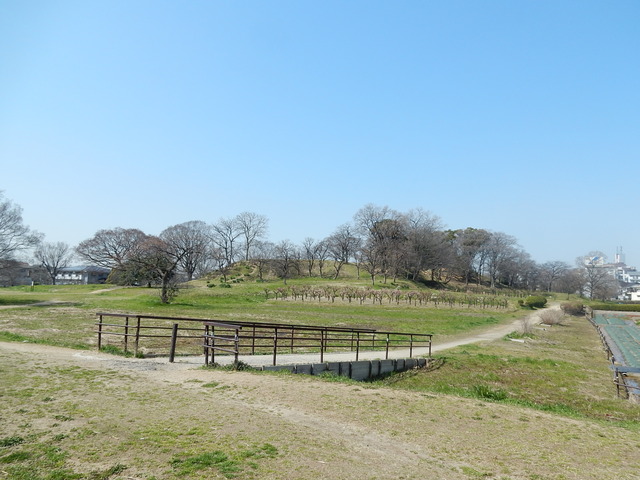 DSCN7664