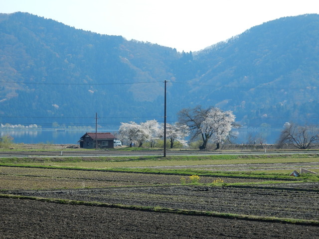 DSCN0900