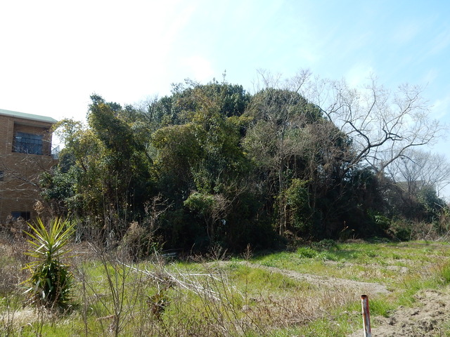 DSCN7639