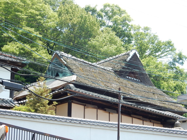 DSCN2384