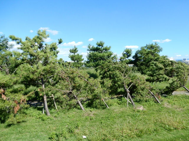 DSCN0096