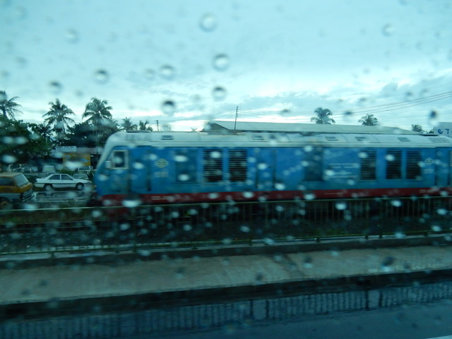 DSCN6337