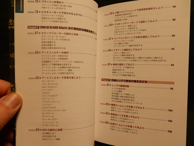 DSCN9351