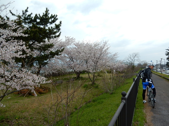 DSCN0863